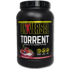 تورنت یونیورسال-Torrent Universal